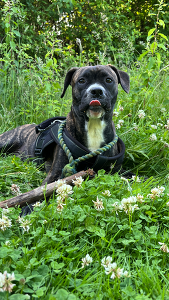 939E325A 265C 48F2 B4FE 83B8E5BED7F3