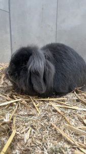 PHOTO 2026 01 09 12 07 16