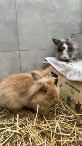 PHOTO 2026 01 09 12 12 06