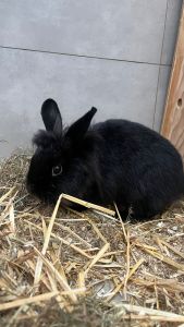 PHOTO 2026 01 09 12 14 54