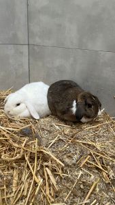 PHOTO 2026 01 09 12 17 19