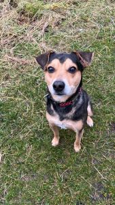 WhatsApp Image 2025 12 11 At 12.38.12