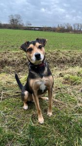 WhatsApp Image 2025 12 11 At 12.38.13(1)