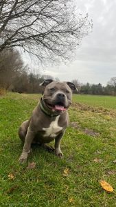 WhatsApp Image 2025 12 11 At 12.38.13(2)