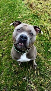 WhatsApp Image 2025 12 11 At 12.38.14