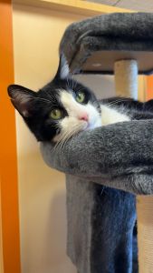 WhatsApp Image 2026 04 13 At 12.13.03