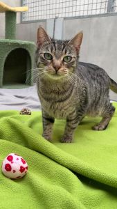 WhatsApp Image 2026 04 15 At 09.36.50 (2)