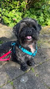 WhatsApp Image 2026 04 15 At 11.54.41