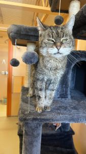 WhatsApp Image 2026 04 16 At 15.17.19