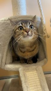 WhatsApp Image 2026 04 16 At 16.31.47 (2)