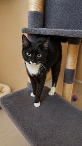 WhatsApp Image 2026 04 23 At 13.01.24