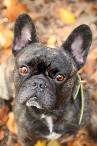 WhatsApp Bild 2025 11 05 Um 13.30.13 E2c3cc93