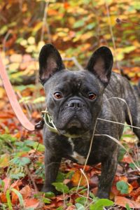 WhatsApp Bild 2025 11 05 Um 13.48.17 23894974