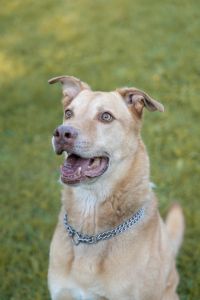 WhatsApp Image 2025 10 02 At 18.35.14 (12)