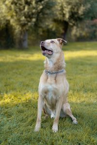 WhatsApp Image 2025 10 02 At 18.35.14 (9)