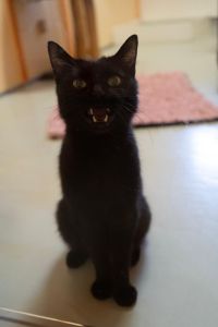 WhatsApp Image 2025 12 23 At 21.41.55