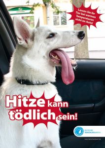 2018 07 26 Tiere Und Hitze