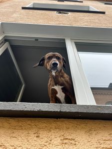 60154cc3 6f53 4173 8aec 195911006e84