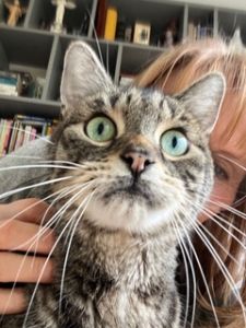 E3275AF5 DE31 4524 9155 82E1F9B4F167 D8cd5636 9c10 4450 A257 Dd516e09176c