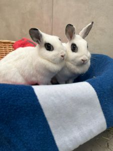 PHOTO 2026 01 09 12 05 21