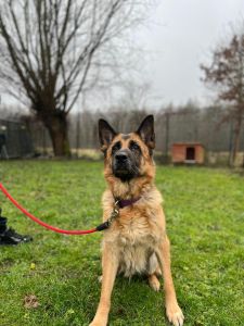 WhatsApp Image 2026 02 24 At 09.45.48