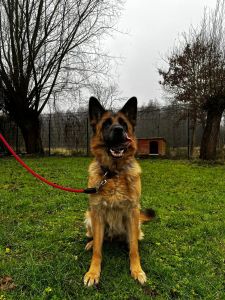 WhatsApp Image 2026 02 24 At 09.45.50