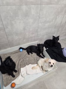 WhatsApp Image 2025 12 11 At 11.32.51