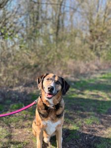 WhatsApp Image 2026 03 19 At 15.46.55