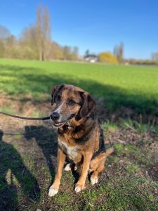 WhatsApp Image 2026 03 19 At 15.46.56