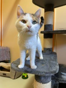 WhatsApp Image 2026 03 31 At 14.37.05