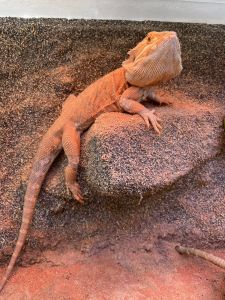 WhatsApp Image 2026 04 01 At 12.40.59