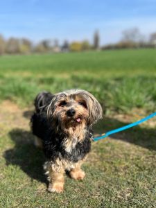 WhatsApp Image 2026 04 15 At 11.53.54