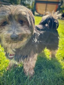 WhatsApp Image 2026 04 15 At 11.53.58