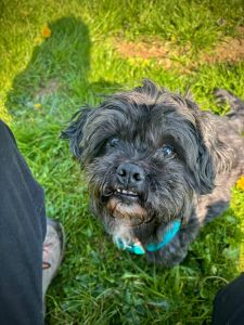 WhatsApp Image 2026 04 15 At 11.54.41(1)