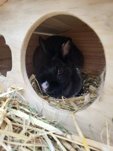 WhatsApp Image 2026 04 20 At 12.31.02