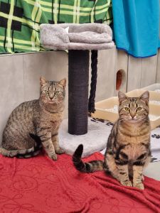 WhatsApp Image 2026 04 28 At 14.26.25 (1)