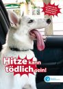 2018 07 26 Tiere Und Hitze 2018 07 26 Tiere Und Hitze