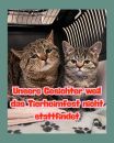 Kein Fest