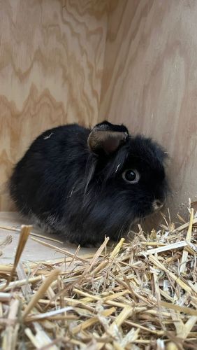 PHOTO 2026 01 09 12 14 30