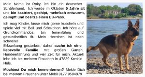 Roky