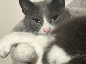55904
