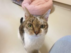 WhatsApp Image 2026 04 14 At 14.20.47 (2)