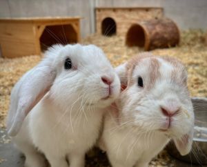 PHOTO 2026 01 09 12 02 37