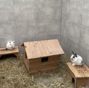 Puschel und Co.