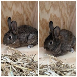 PHOTO 2026 01 09 11 59 07