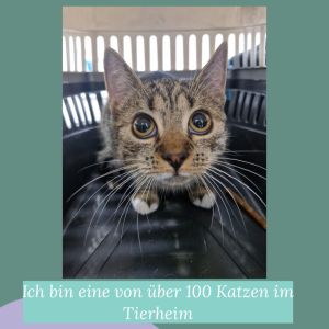 WhatsApp Bild 2025 08 06 Um 12.27.47 8feb2d18