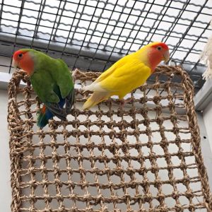 WhatsApp Image 2026 03 05 At 16.14.19