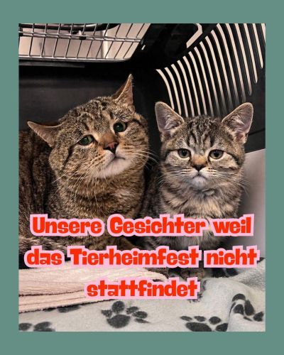 Kein Fest