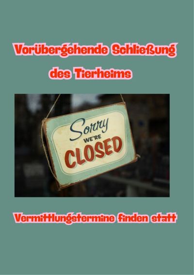 Tierheim Geschlossen