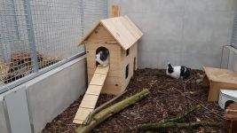 IMG 20190923 WA0013   Kopie